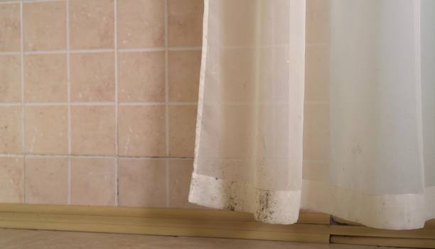 Best Indoor Air Quality Assessment  in Madison Lake, MN