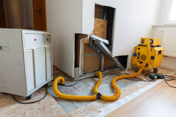 Best Biohazard Mold Removal  in Madison Lake, MN