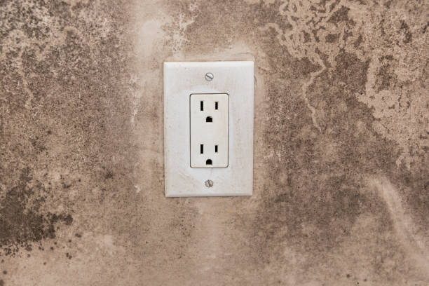 Best Residential Mold Inspection & Testing  in Madison Lake, MN