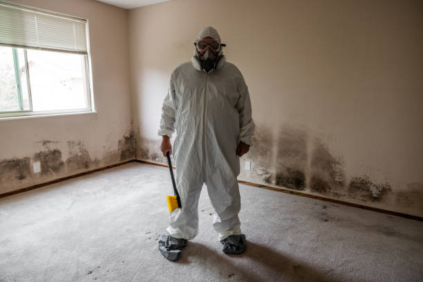 Best Attic Mold Removal  in Madison Lake, MN
