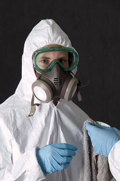 Best Water Damage & Mold Remediation  in Madison Lake, MN
